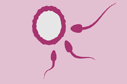 Xaxxx - How to choose a Fertility Clinic