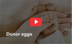 donor_eggs